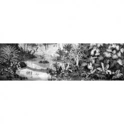 Ciment Factory Crédences Crédence Adhésive Gravure Jungle 200x60cm -Plaques et lettrages Soldes credence adhesive gravure jungle 200x60cm 1